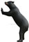 McKenzie Natra Look Climbing Bear image