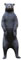McKenzie Natra Look Standing Bear image