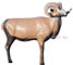 McKenzie Corsican Sheep image