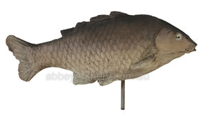 Delta Carp image