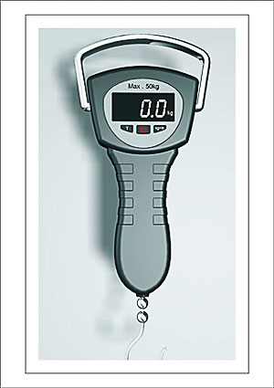 Coffey Digital Hand Held Bow Scale image