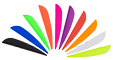 AAE Elite Plastifletch vane 40 25's image