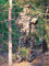 True Timber Leafy Suit camo image