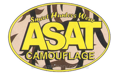 ASAT Oval Camo decal large image. Click to return to ASAT Oval Camo decal price and description