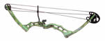 Abbey Cockatoo Ready to Hunt Bow Package image