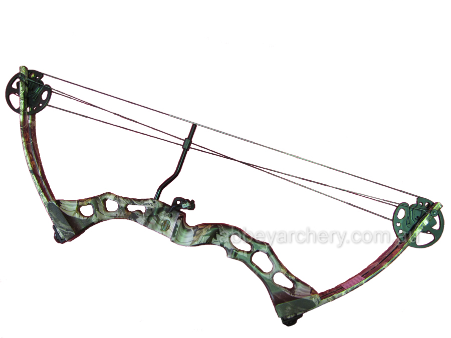 Abbey Numbat Camo large image. Click to return to Abbey Numbat Camo price and description