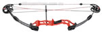 Reflex Bighorn Target image