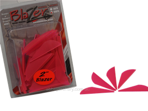 Bohning Blazer Vane 2" Hot Pink 100's image