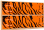 Bohning Tiger BlazerWraps for carbon arrows and shafts, Orange Tiger image