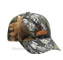 Bear Logo Hat Camo image