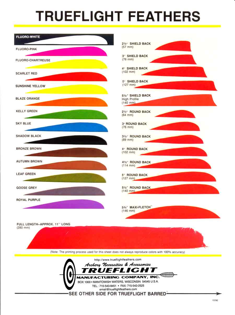 Trueflight Feathers 4" parabolic goose grey pack 25 large image. Click to return to Trueflight Feathers 4" parabolic goose grey pack 25 price and description