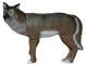 Delta Elite Timber Wolf image