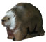 Delta Porcupine image