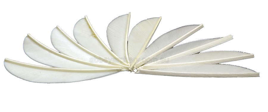 Trueflight Feathers 2.5" parabolic flu white pack 25 large image. Click to return to Trueflight Feathers 2.5" parabolic flu white pack 25 price and description