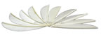 Trueflight Feathers 3" Flu White pack 100 image