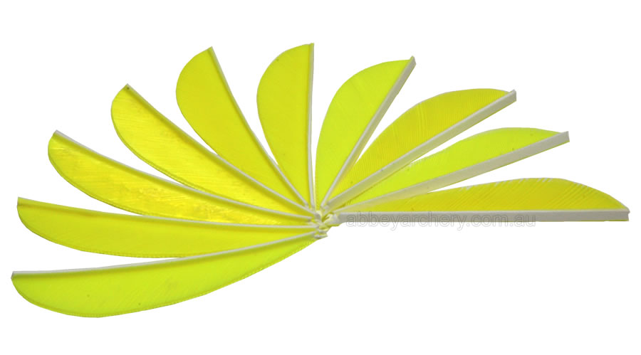 Trueflight Feathers 2.5" parabolic flu chartreuse pack 25 large image. Click to return to Trueflight Feathers 2.5" parabolic flu chartreuse pack 25 price and description