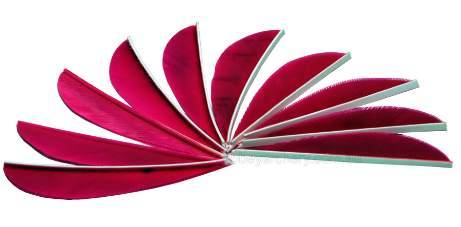 Trueflight Feathers 3" parabolic scarlet red pack 100 large image. Click to return to Trueflight Feathers 3" parabolic scarlet red pack 100 price and description
