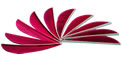 Trueflight Feathers 2.5" Scarlet Red pack 25 image