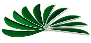 Trueflight Feathers 2.5" Kelly Green pack 100 image