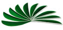 Trueflight Feathers 2.5" Kelly Green pack 25 image