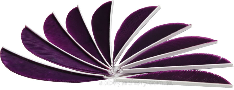 Trueflight Feathers 2.5" parabolic royal purple pack 100 large image. Click to return to Trueflight Feathers 2.5" parabolic royal purple pack 100 price and description