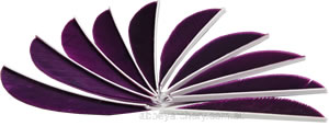 Trueflight Feathers 2.5" Royal Purple pack 25 image