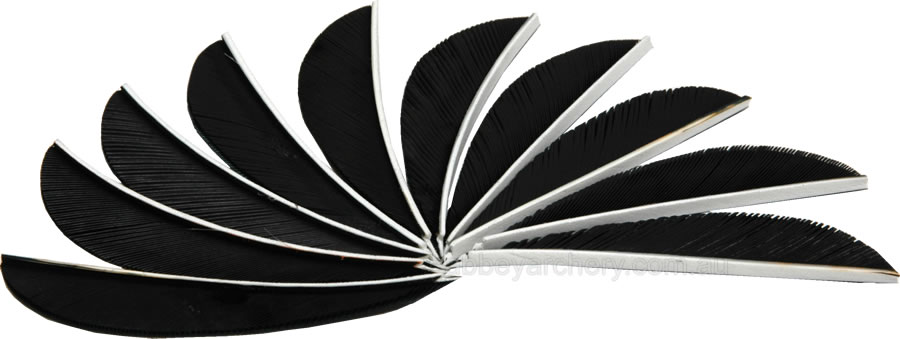 Trueflight Feathers 4" parabolic shadow black pack 25 large image. Click to return to Trueflight Feathers 4" parabolic shadow black pack 25 price and description