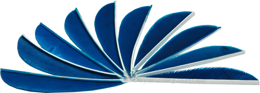 Trueflight Feathers 3" parabolic sky blue pack 25 large image. Click to return to Trueflight Feathers 3" parabolic sky blue pack 25 price and description