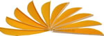 Trueflight Feathers 2.5" Sunshine Yellow pack 25 image