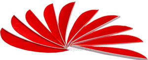 Trueflight Feathers 3" Blaze Orange pack 25 image