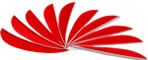 Trueflight Feathers 2.5" Blaze Orange pack 25 image