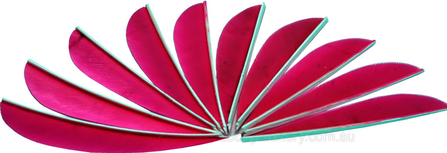 Trueflight Feathers 3" parabolic flu pink pack 25 large image. Click to return to Trueflight Feathers 3" parabolic flu pink pack 25 price and description