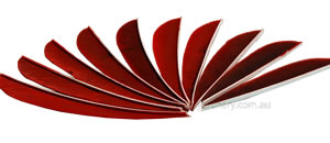 Trueflight Feathers 4" Bronze Brown pack 25 image