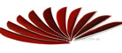 Trueflight Feathers 3" Autumn Brown pack 25 image