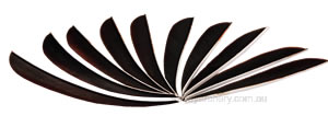 Trueflight Feathers 5" parabolic shadow black pack 25 image