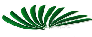 Trueflight Feathers 5" parabolic kelly green pack 25 image