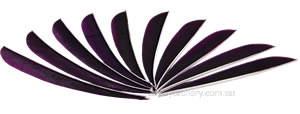 Trueflight Feathers 5" parabolic royal purple pack 25 image