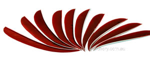 Trueflight Feathers 5" parabolic scarlet red pack 100 image