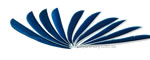 Trueflight Feathers 5" Sky Blue pack 25 image
