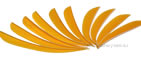 Trueflight Feathers 5" Sunshine Yellow pack 25 image