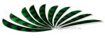 Trueflight Feathers Barred 4" Green pack 12 image