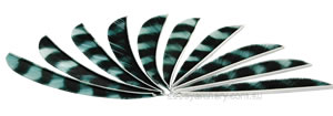 Trueflight Feathers 5" parabolic barred white (or grey) pack 100 image