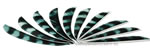 Trueflight Feathers Barred 4" White pack 12 image