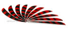 Trueflight Feathers Barred 4" Orange pack 12 image
