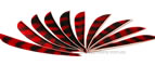 Trueflight Feathers Barred 4" Red pack 12 image