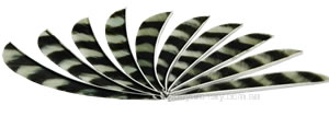 Trueflight Feathers 5" parabolic barred traditional bronze pack 25 image