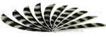 Trueflight Feathers Barred 4" Traditional Bronze pack 12 image