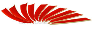 Trueflight Feathers 5" shield back blaze orange pack 25 image