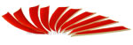 Trueflight Feathers Shield 4" Blaze Orange pack 25 image