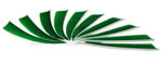 Trueflight Feathers Shield 4" Kelly Green pack 25 image